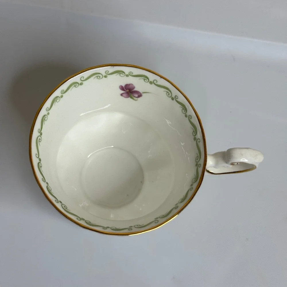 Queens Special Flowers Violets Fine Bone China Tea Cup Rosina China Co England